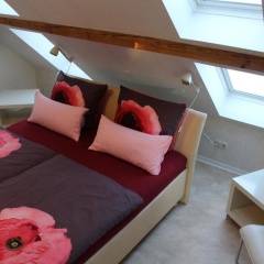Ferienwohnung am Park - Bild 1