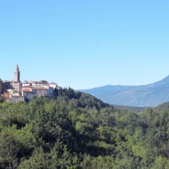 Ornela (LBN321) photo 2