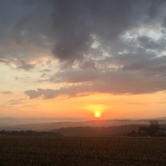 Gasthof Zur Goldenen Sonne - Bild 15