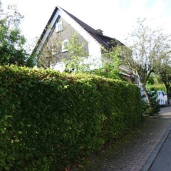 Ferienidyll - Bild 10