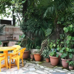 Sunny Guest House thumbnail 15