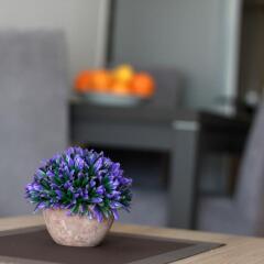 Apartments 28 in Podgorica, Montenegro from 74$, photos, reviews - zenhotels.com photo 3