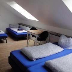 Kranich - Bild 6