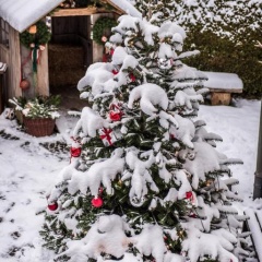 The Alpine Apartment - Bild 5