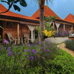 Yoga Searcher Bali - Bild 9