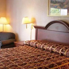 Hampton Bay Plaza & Suite thumbnail 3
