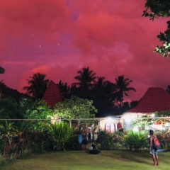 Mojosurf Camp Red Island - Bild 6