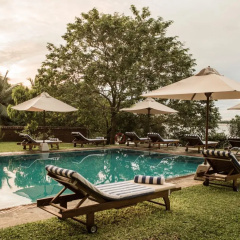 Thaulle Pure Ayurveda Resort - Yala thumbnail 16