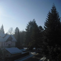 Standard Double Room - Panorama Hotel Pension Frohnau - Bild 10