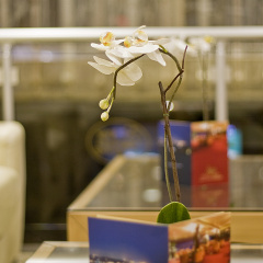 Park Star Hotel Taksim - Bild 11