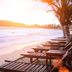Paradise Beach Club Mirissa thumbnail 20