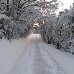 Angela - Bild 15