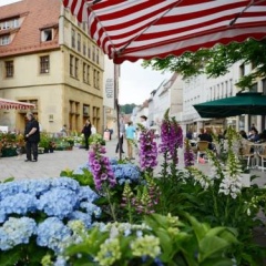 Boardinghouse Bielefeld - Bild 14