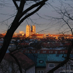 Hotel Prinz - Bild 26