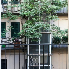 Italianway   - Fiori Chiari - Bild 1