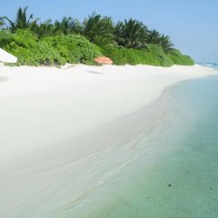Amazing View in Thoddoo Atoll, Maldives from 102$, photos, reviews - zenhotels.com beach photo 2