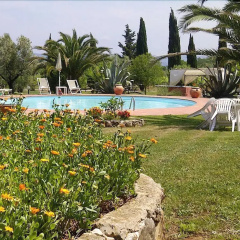 Suvereto thumbnail 11