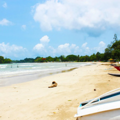 Surasa Beach Resort thumbnail 22