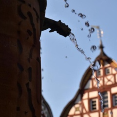 Fewo-Bernkastel-Kues - Bild 1