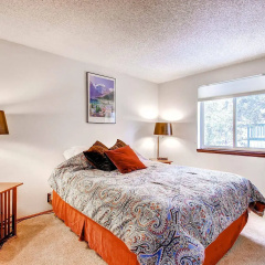 Mark IX By Peak Property Management thumbnail 4