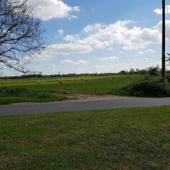 Yapham Holds Farmhouse thumbnail 46