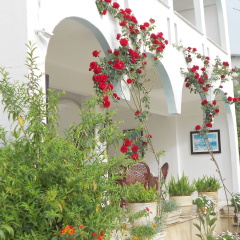 Garden Prizma Pension - Bild 18