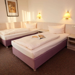Hoteltraube Rudesheim - Bild 5