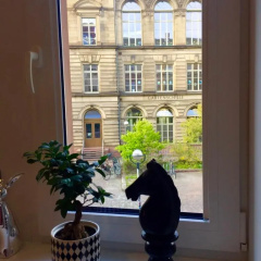 Altbauwohnung im Herzen von Karlsruhe - Bild 1