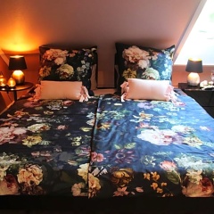 Residence Wilhelmine - Private Unterkunft - Bild 2