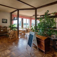 Elbterrassen zu Brambach - Bild 19