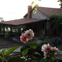 Faralya Hotel - Bild 4