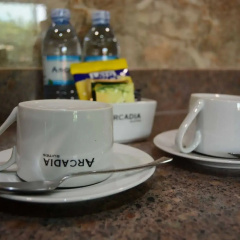 Arcadia Suites thumbnail 11