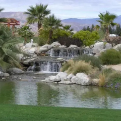 The Springs at Borrego RV Resort thumbnail 5