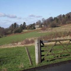Woodland Cottage thumbnail 4