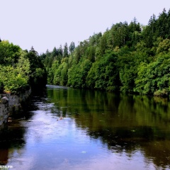 Zur Triftsperre - Bild 15