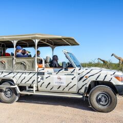 Etosha Safari Camping2Go in Okaukuejo, Namibia from 89$, photos, reviews - zenhotels.com photo 16