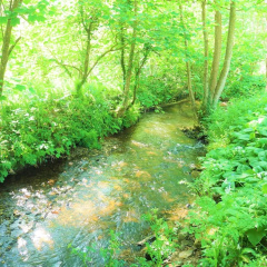The Hideaway & Spa Terrace at Tregoose Old Mill thumbnail 14