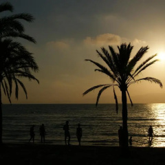 Hotel HSM Reina del Mar - Bild 22
