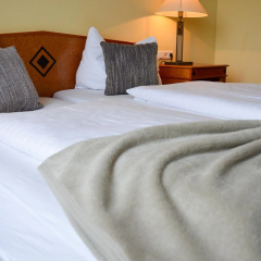 Carea Residenz Hotel Harzhöhe - Bild 4