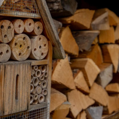 Moselhaus - Bild 10