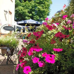 Zur Waldlust - Bild 12