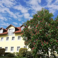 Hotel Nummerhof - Bild 16