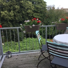 Gro 13 - Bild 8