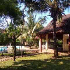 Apple Mango Apartments in Diani Beach, Kenya from 78$, photos, reviews - zenhotels.com photo 20