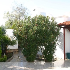 Luxury Villa Tilev - Bild 9
