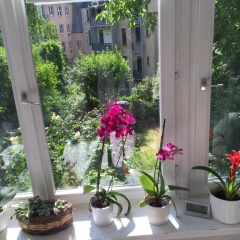 KernerApartement - Bild 16