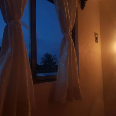 Hotel Jardin - Bild 15