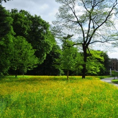 Hotel Schloss Eckberg - Bild 14