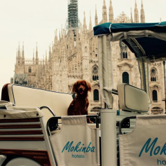 Mokinba Hotels Montebianco - Bild 13