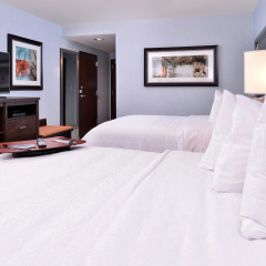 Hampton Inn Rome thumbnail 26